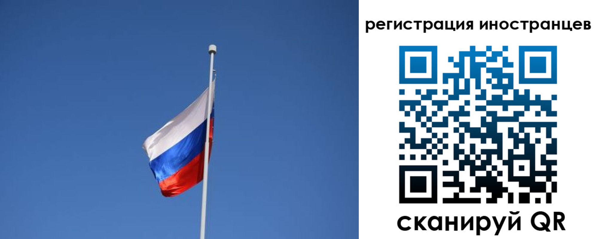 где прописаться в Пионерском